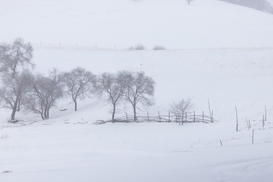 雪景