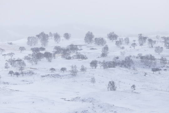 雪景