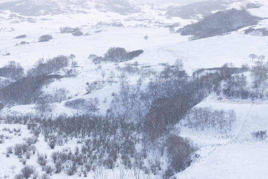 雪景