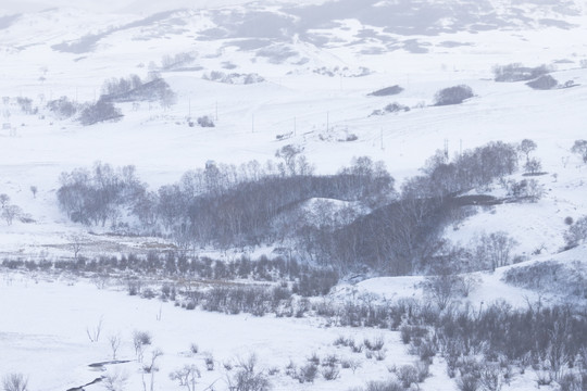 雪景