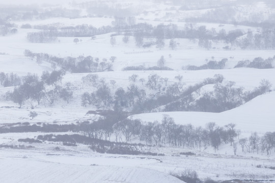 雪景