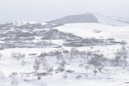 雪景