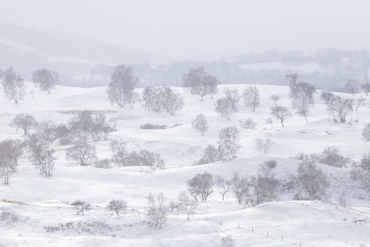 雪景