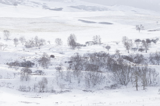 雪景