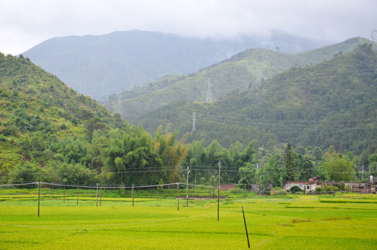 云雾山峰