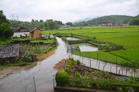 雨天乡村道路