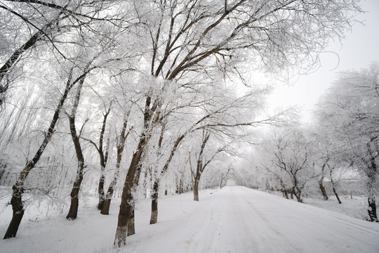 雪景