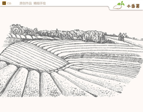 手繪茶園農(nóng)場矢量圖