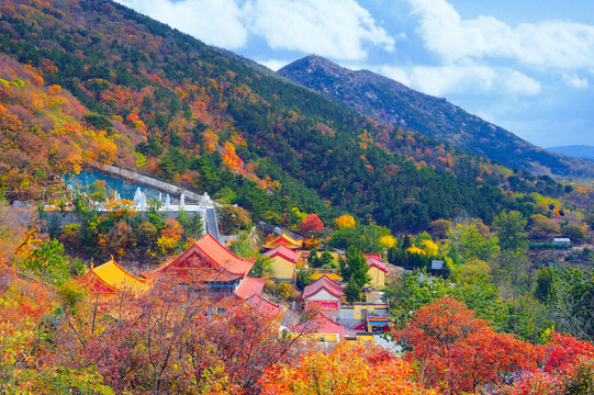 莱州寒同山红叶