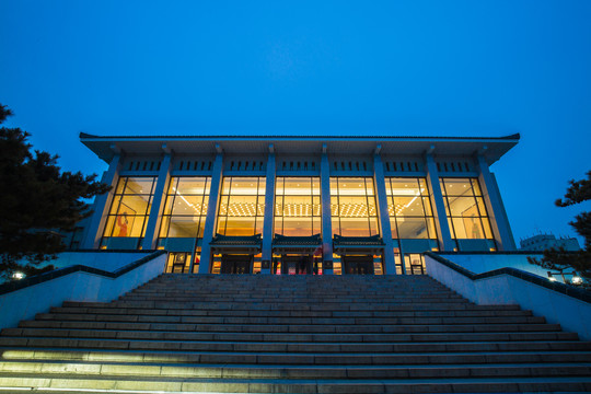 国家图书馆国图艺术中心夜景