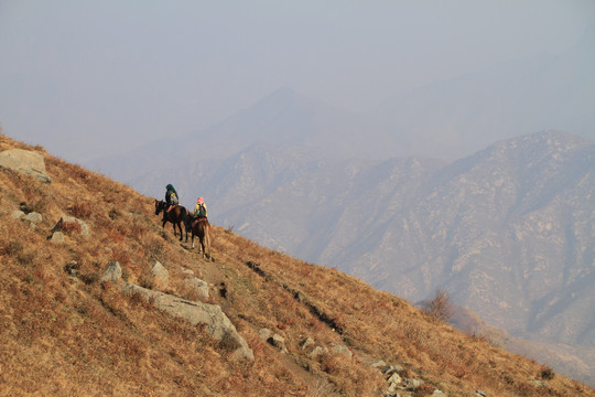 骑马的旅行者