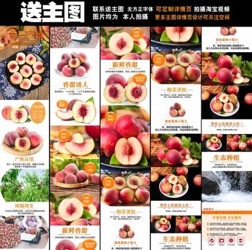 冬桃詳情頁