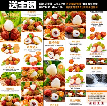 荔枝詳情