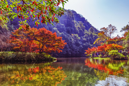 杭州秋景