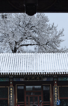 颐和园雪景