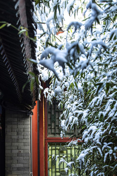 颐和园雪景