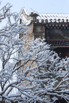 颐和园雪景