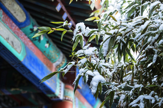 颐和园雪景