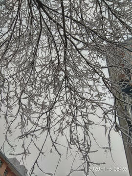 雪景