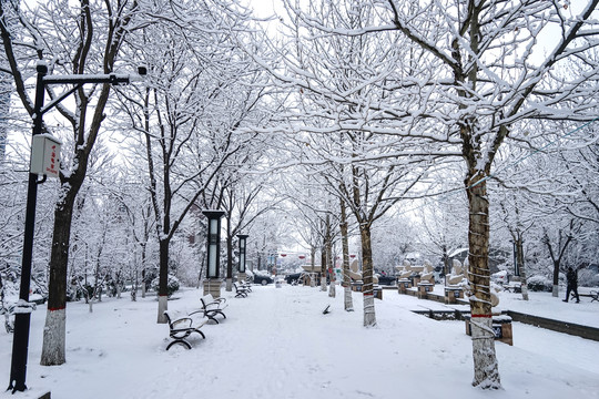 雪景