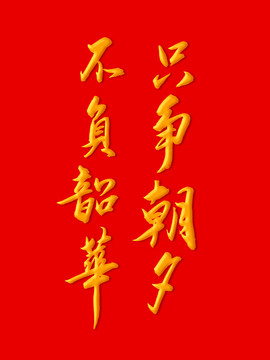 不負(fù)韶華只爭(zhēng)朝夕