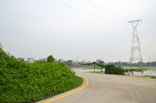 珠三角农村道路