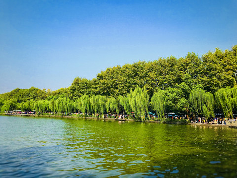 十月杭州西湖