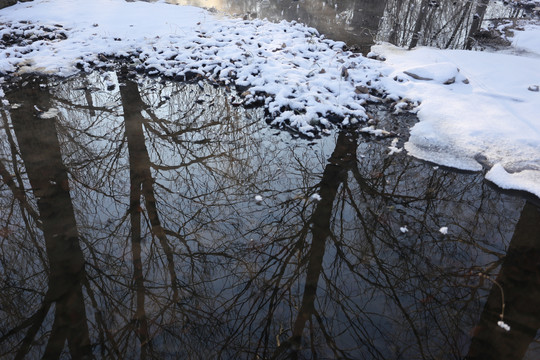 冬季的小河