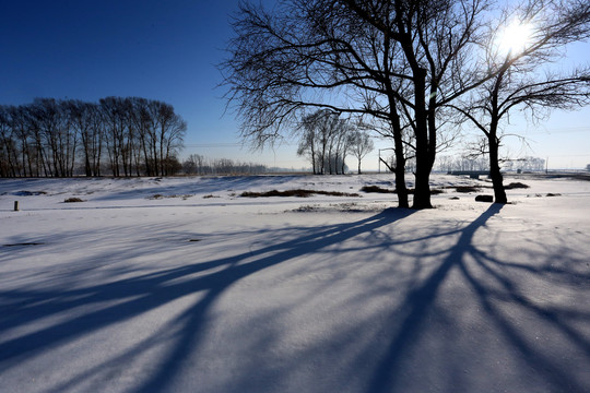 雪后的大地