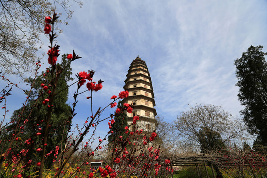 河北定州开元寺塔