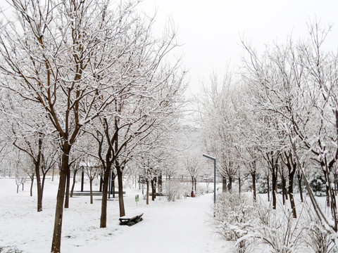 雪景风光