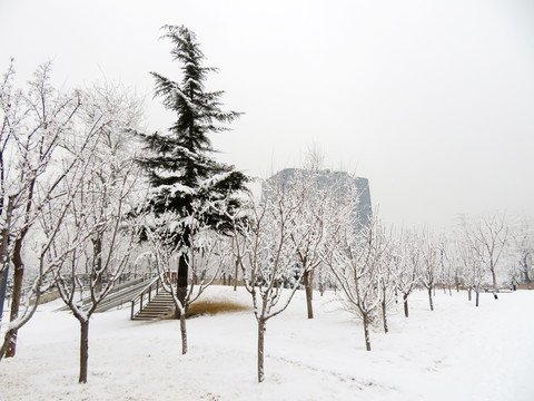 雪景风光