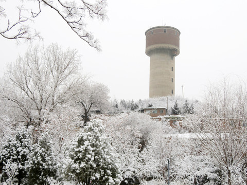 冬天雪景