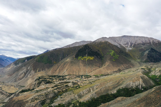 西藏山