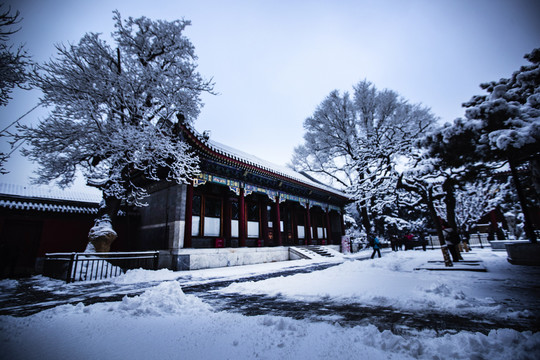 颐和园雪景