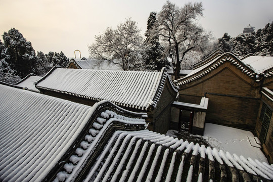 颐和园雪景