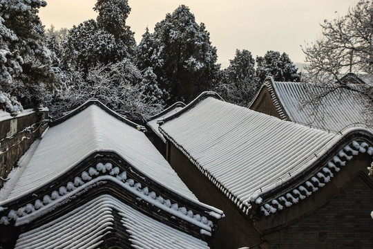 颐和园雪景