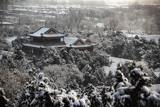 颐和园雪景