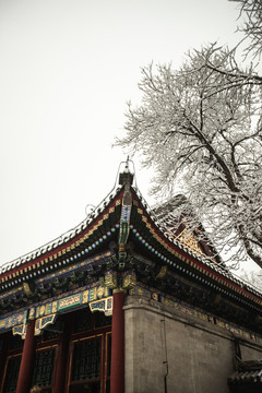 颐和园雪景