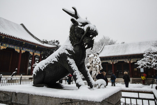 颐和园雪景