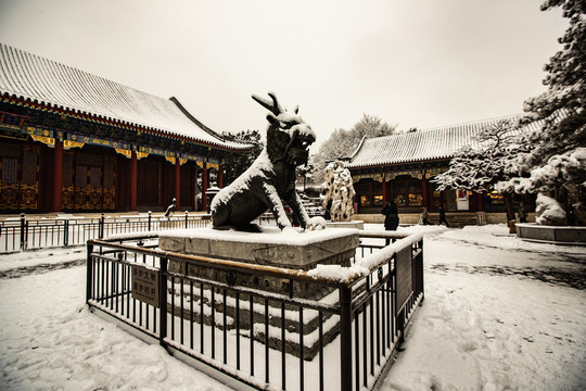 颐和园雪景