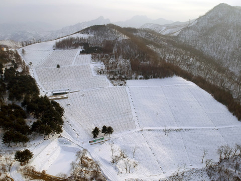 积雪的山间种植园