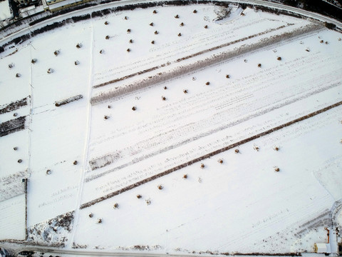 覆雪后庄稼地