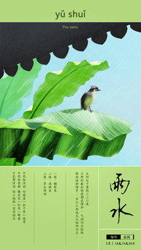 24節(jié)氣插畫雨水