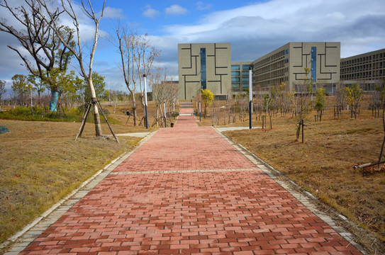 大学校园