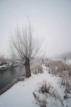 雪景