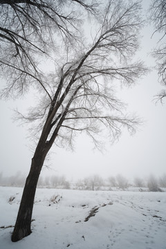 雪景