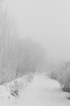 雪景