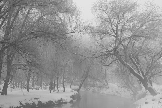 雪景