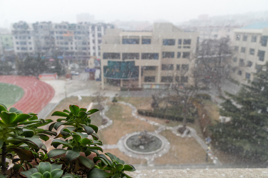 雪后校园风景